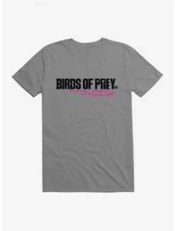 Best Sale โ DC Comics Birds Of Prey Movie Title T-Shirt โญ