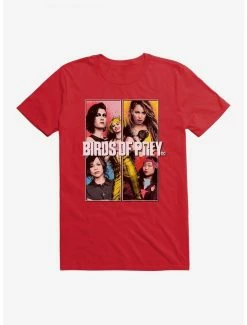 Best reviews of ✔️ DC Comics Birds Of Prey Team Box Up T-Shirt ✨