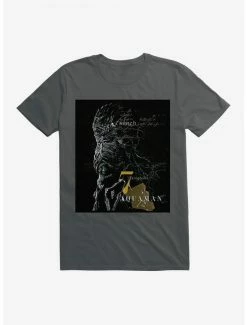 Wholesale 🎁 DC Comics Aquaman 7 Kingdoms T-Shirt 👏