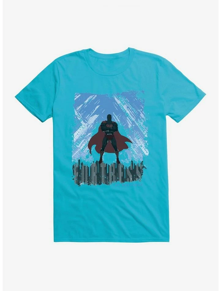 Budget 😍 DC Comics Superman Hero Of Metropolis T-Shirt ✔️ - Image 4