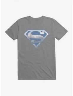 Promo ๐งจ DC Comics Superman Metropolis Logo Silhouette T-Shirt ๐ฏ