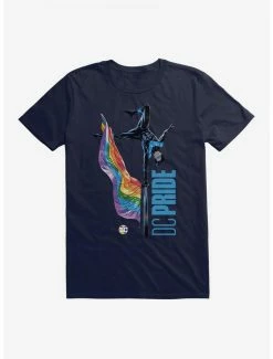 Best Sale ✔️ DC Comics Batman Nightwing Pride T-Shirt ⭐