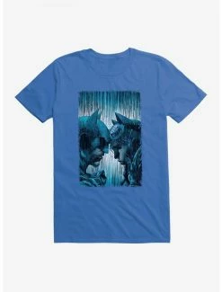 Cheap ❤️ DC Comics Batman And Catwoman Rain T-Shirt 🛒