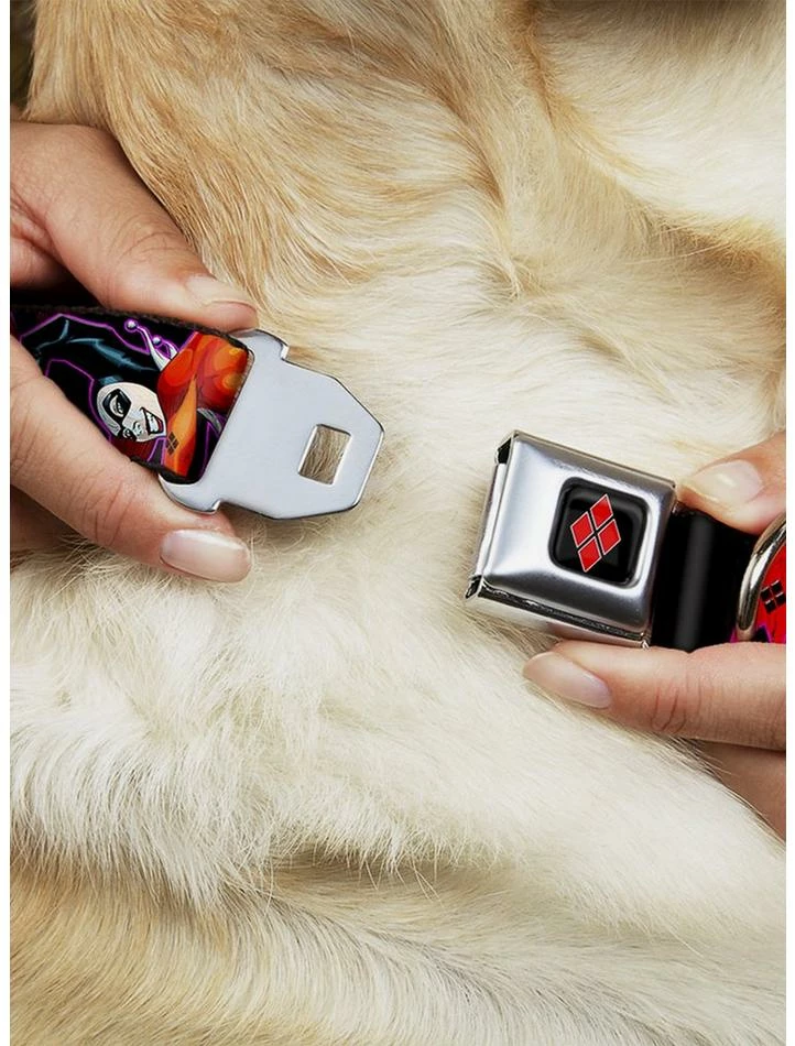 Brand new ⌛ DC Comics Harley Quinn Black Purple Red Seatbelt Buckle 🐶 Dog Collar 👏 - Image 2